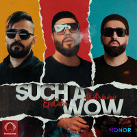 Cover of Such A Wow