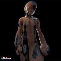 Mostaghel — Fadaei cover art