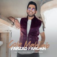 Gole Mahtab — Farzad Farrokh cover art