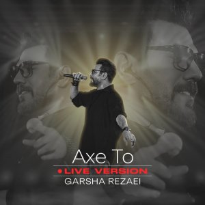 Cover of Axe To (Live)