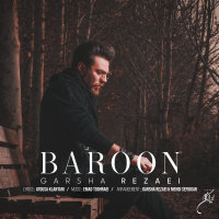 Cover of Baroon
