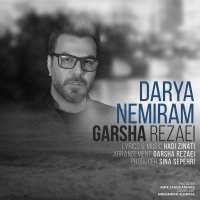 Darya Nemiram — Garsha Rezaei cover art
