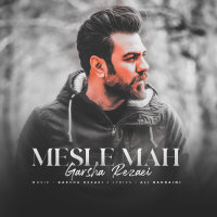 Cover of Mesle Mah