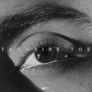 Cover of Taghsire Toe