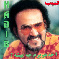 Cover of Ashegham