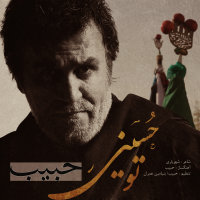 Cover of To Hosseini