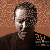 Salam-e Del — Hamed Nikpay cover art