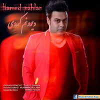 Divoonam Kardi — Hamed Pahlan cover art