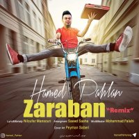 Cover of Zaraban (Remix)