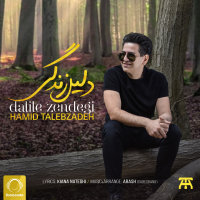 کاور آهنگ دلیل زندگی