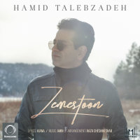 Cover of Zemestoon