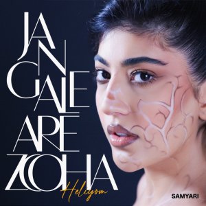 Cover of Ba Inke