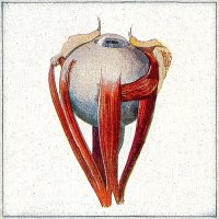Gerye Dare — Hichkas cover art
