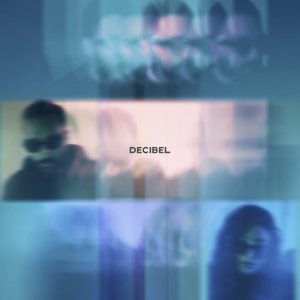 Cover of Gray Decibel