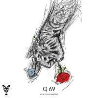 Cover of Q69