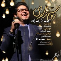 کاور آهنگ دوستم داری