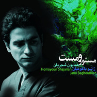 کاور آهنگ بی نشان