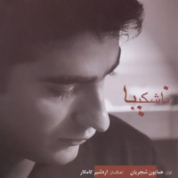 کاور آهنگ رقص چوب