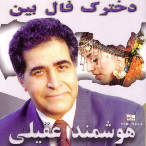 Cover of Dokhtarake Faal Bin