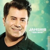 Cover of Gulnar