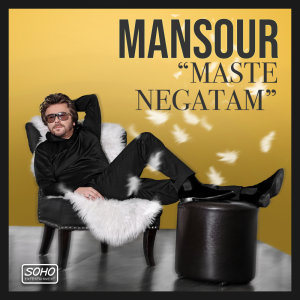 Cover of Maste Negatam
