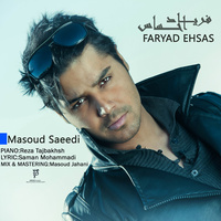کاور آهنگ فریاد احساس از مسعود سعیدی