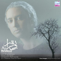 Bi Gharar — Mazyar Fallahi cover art
