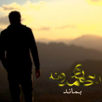 Cover of Bemanad
