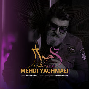 کاور آهنگ بی حواس