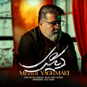 Digari — Mehdi Yaghmaei cover art