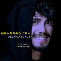 کاور آهنگ دلمو بردی
