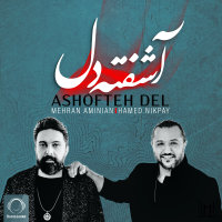 Ashofteh Del — Hamed Nikpay cover art