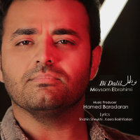 کاور آهنگ بی دلیل