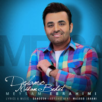 Delamo Midam Behet — Meysam Ebrahimi cover art