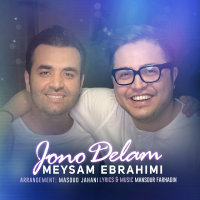 Jono Delam — Meysam Ebrahimi cover art