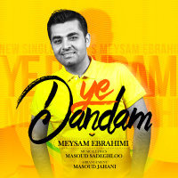 Ye Dandam — Meysam Ebrahimi cover art