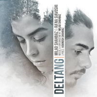 Deltang