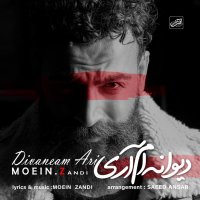 کاور آهنگ دیوانه ام آری از معین زد