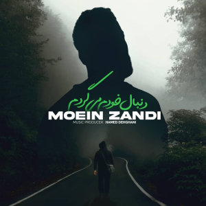 کاور آهنگ دنبال خودم میگردم از معین زد