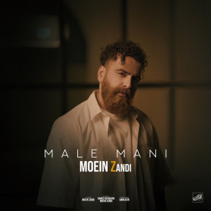 Male Mani — Moein Z cover art