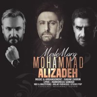 کاور آهنگ مثل مرگ
