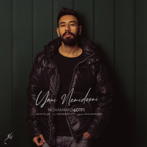 Cover of Yani Nemidooni