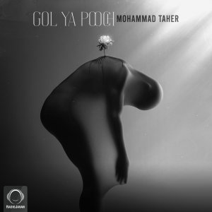 Gol Ya Pooch — Mohammad Taher cover art
