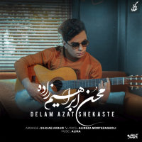 Cover of Delam Azat Shekaste