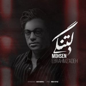 کاور آهنگ دلتنگی