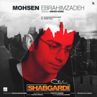 Cover of Shabgardi