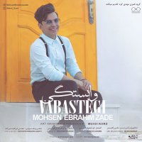 Cover of Vabastegi