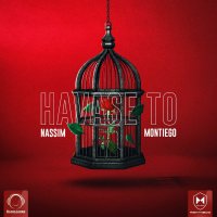 Cover of Havase To