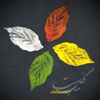 کاور آهنگ گل بیتا