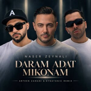 Daram Adat Mikonam (Remix) — Naser Zeynali cover art